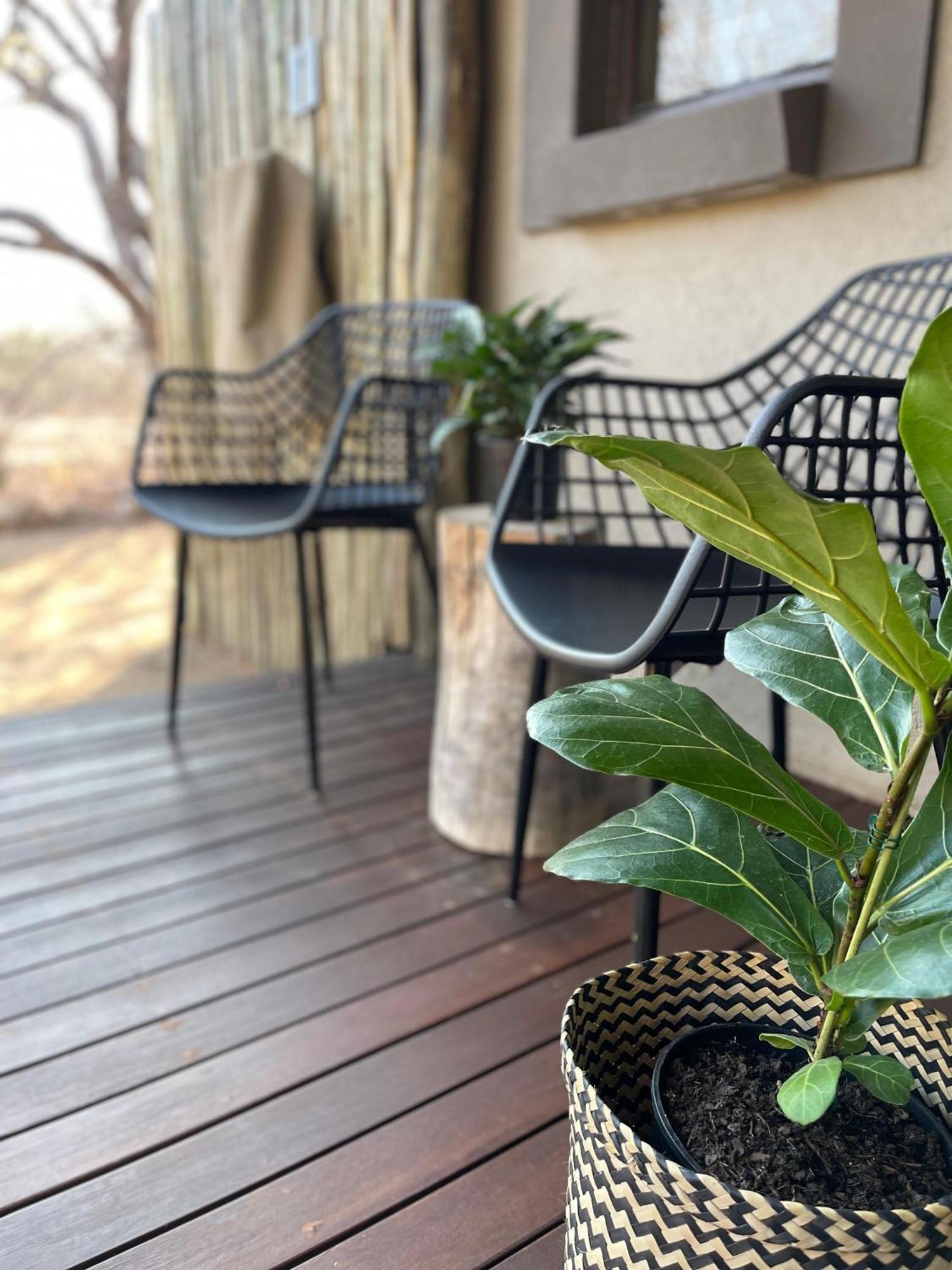 THE BAOBAB BUSH LODGE, no self catering, tv in lapa Hoedspruit Exterior foto