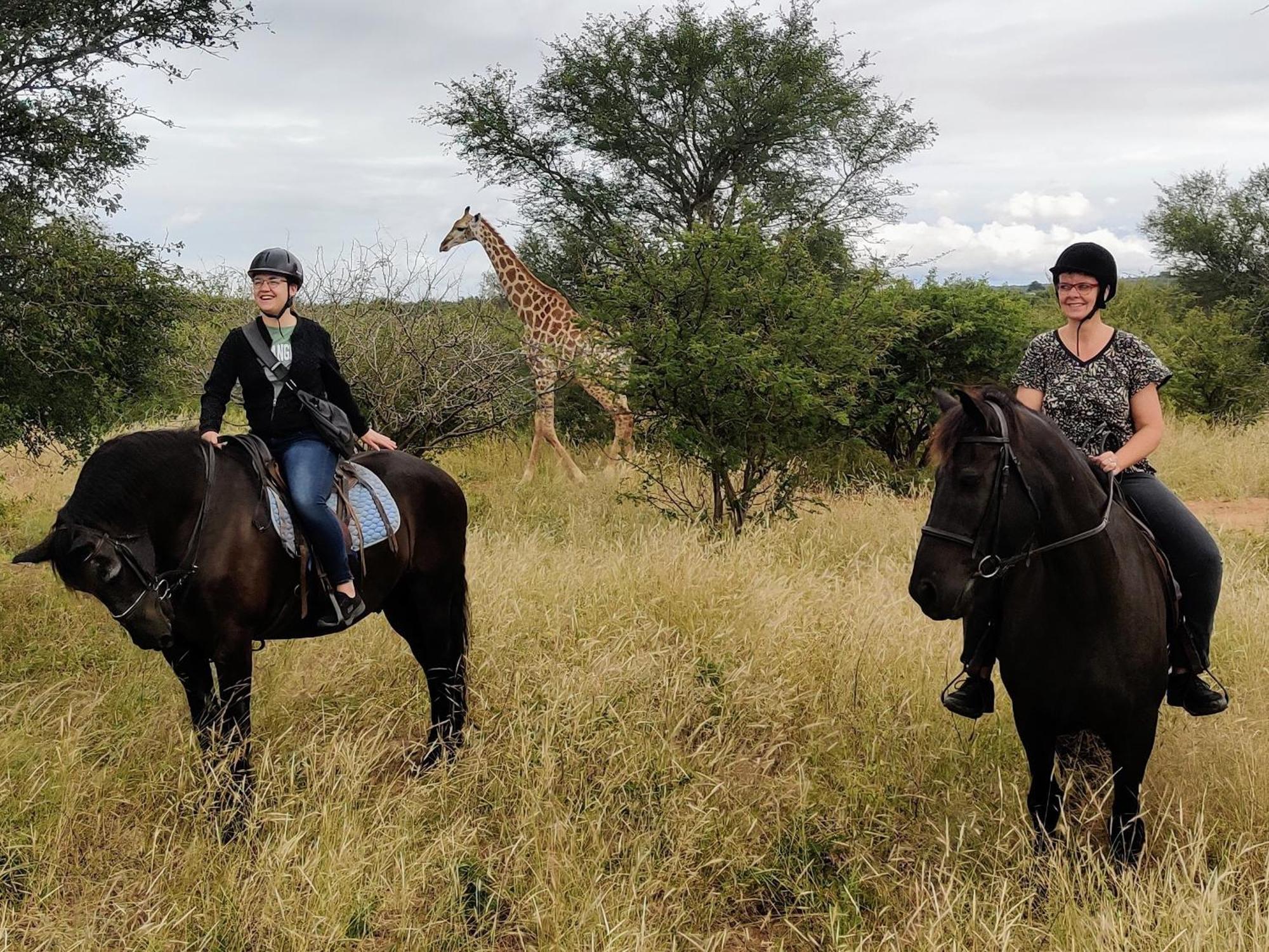 THE BAOBAB BUSH LODGE, no self catering, tv in lapa Hoedspruit Exterior foto